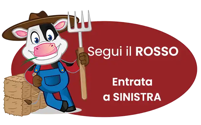 Seguici sui social